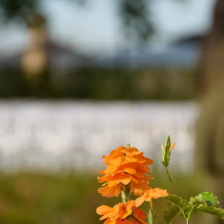 Rural Palacio Haza De La Concepcion Hotel 4*