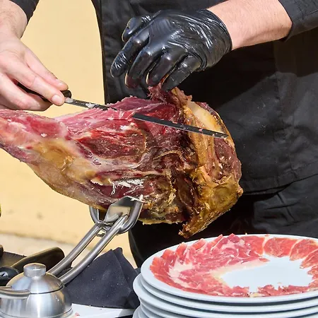 Rural Palacio Haza De La Concepcion Otel Malpartida De Plasencia