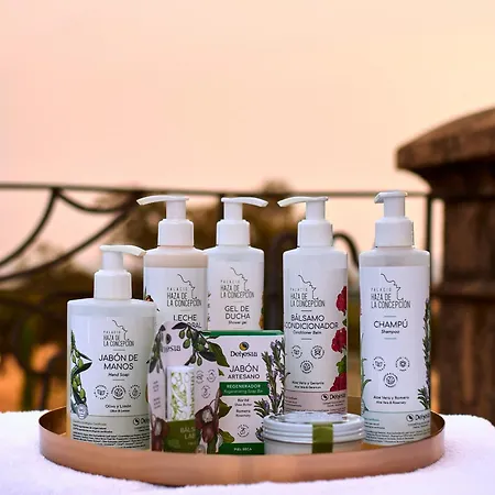 Rural Palacio Haza De La Concepcion Hotel 4*