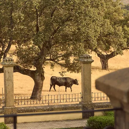 Rural Palacio Haza De La Concepcion 4* Malpartida De Plasencia