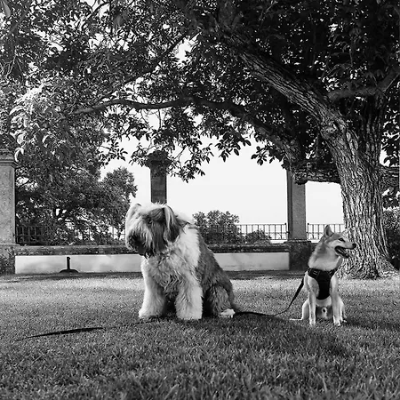 Rural Palacio Haza De La Concepcion Otel 4*