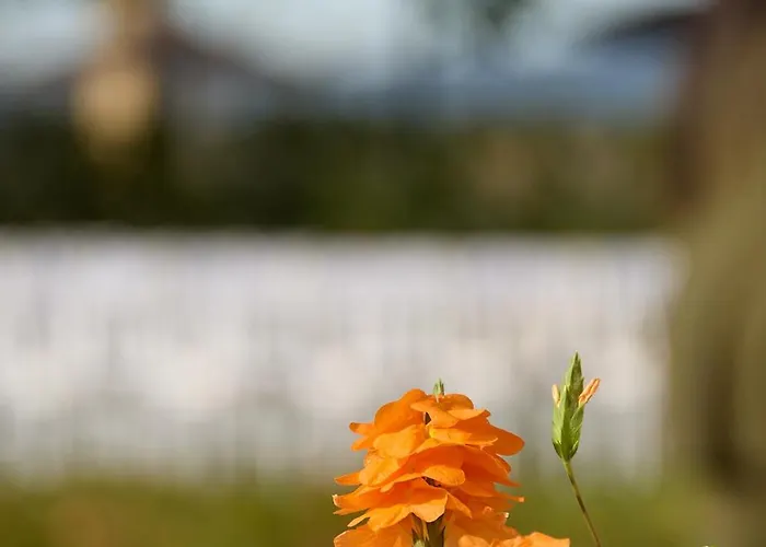 Rural Palacio Haza De La Concepcion Отель 4*