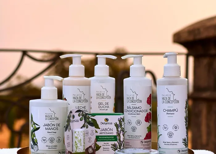 Rural Palacio Haza De La Concepcion Отель 4*