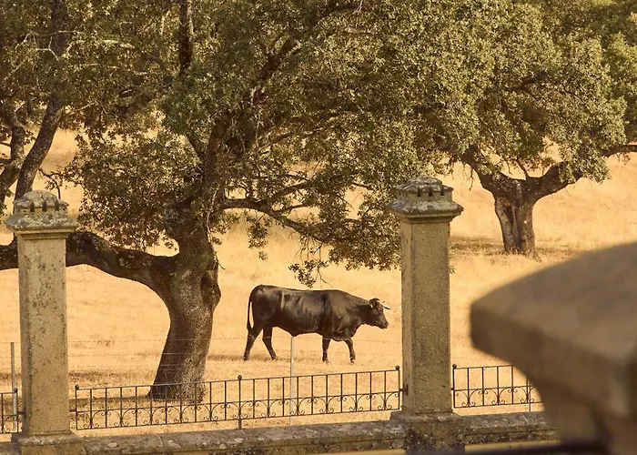 Rural Palacio Haza De La Concepcion 4* Мальпартида-де-Пласенсия