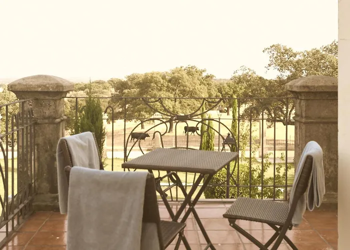 Rural Palacio Haza De La Concepcion 4*